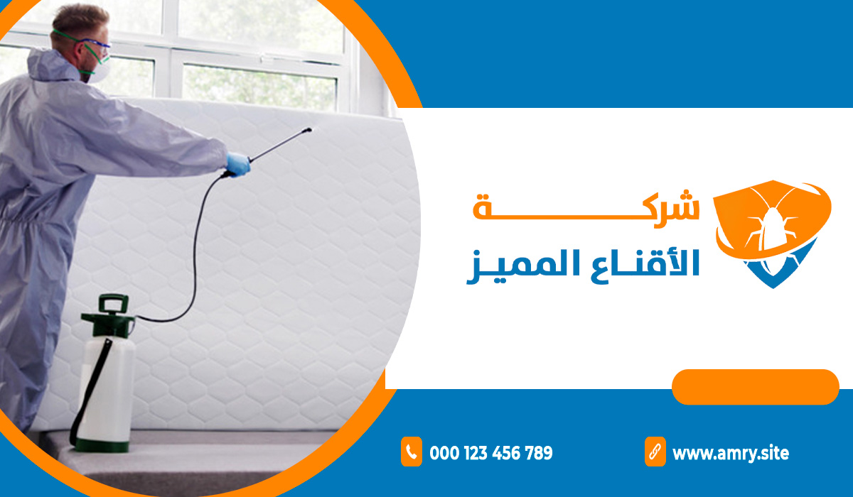 أهم مميزات افضل شركة مكافحة البق في الرياض