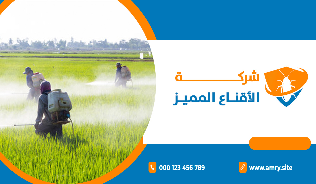 ابدأ الحل مع شركة متخصصة في رش المبيدات الحشرية بالرياض