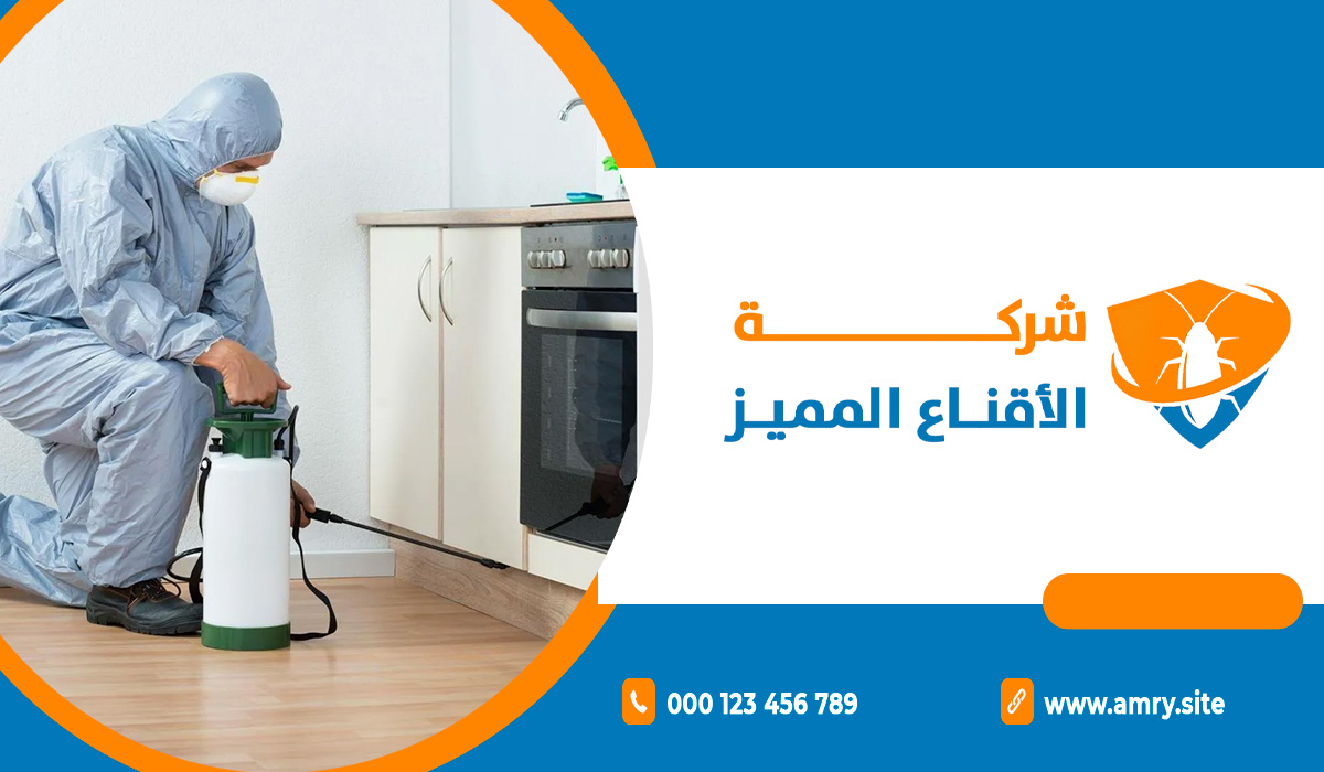 لماذا لا تحقق الطرق المنزلية النتائج المطلوبة في القضاء على الحشرات؟