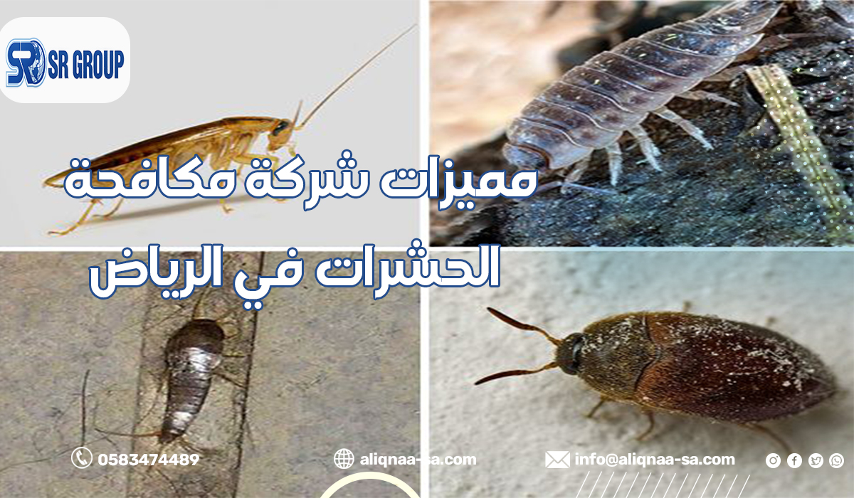مميزات شركة مكافحة الحشرات في الرياض
