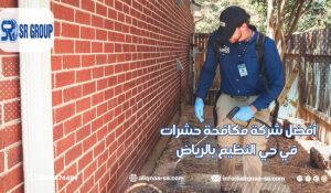 أفضل شركة مكافحة حشرات في حي النظيم بالرياض
