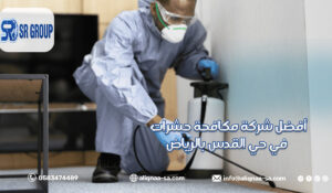 أفضل شركة مكافحة حشرات في حي الصالحية بالرياض