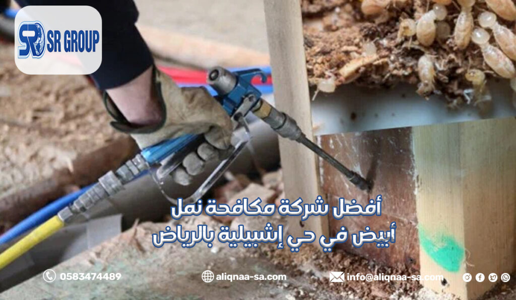 أفضل شركة مكافحة نمل أبيض في حي إشبيلية بالرياض
