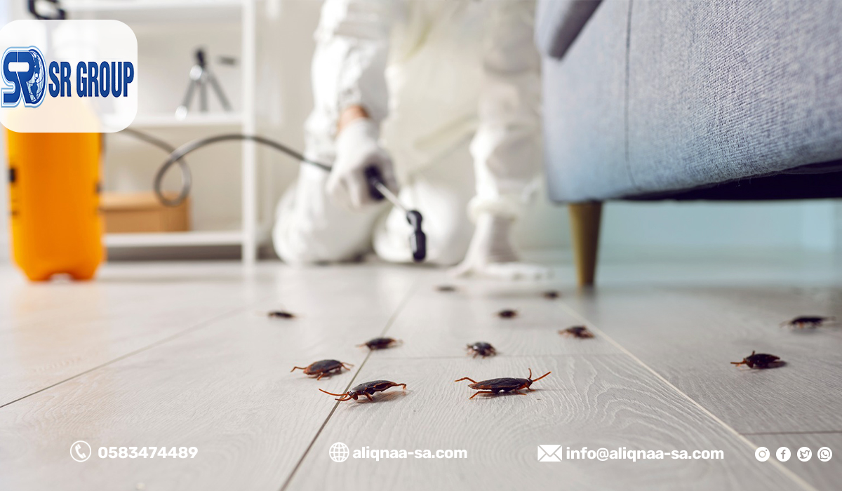 مكافحة الصراصير للمطاعم والمنشآت التجارية