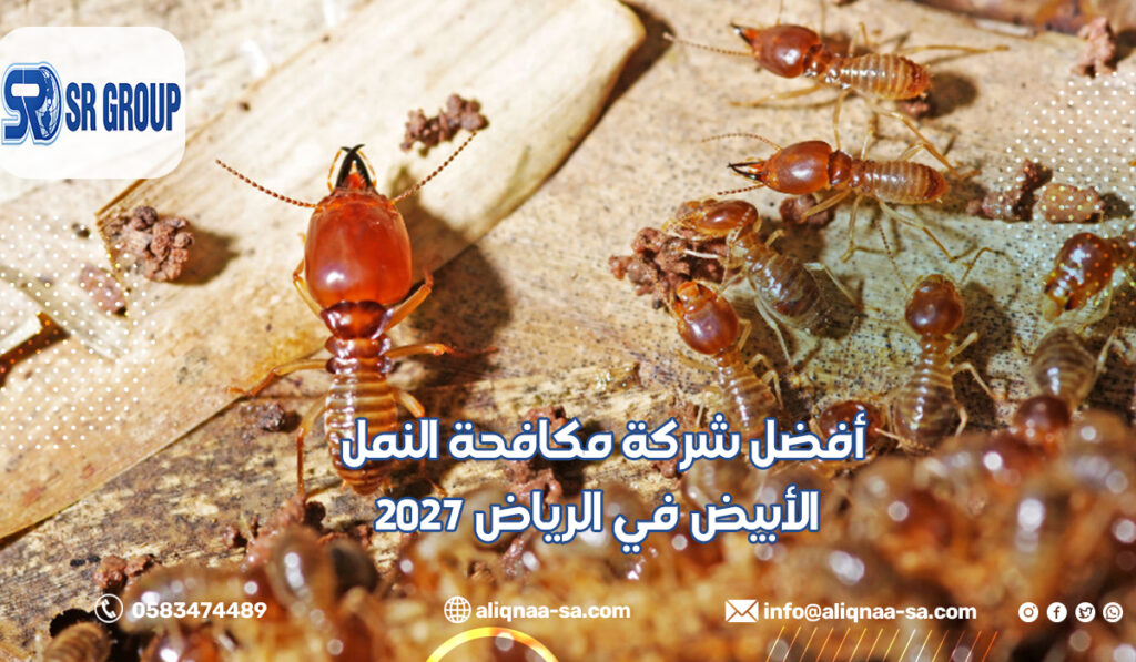 أفضل شركة مكافحة النمل الأبيض في الرياض 2027